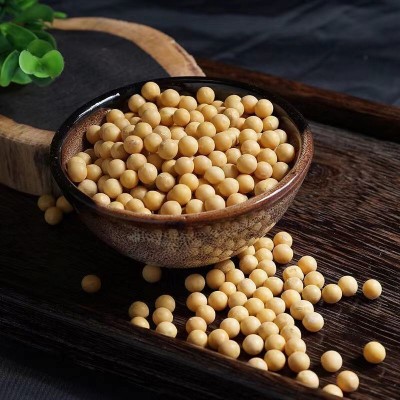 东北黄豆5斤散装新鲜豆浆大豆子发豆芽打豆浆专用批发杂粮图4