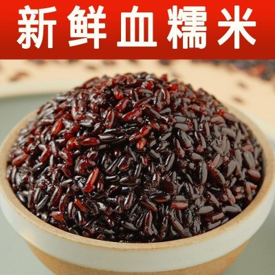 东北黑糯米血糯米农家自种黑米粥粽子饭团新米粗杂粮黑米当季图2
