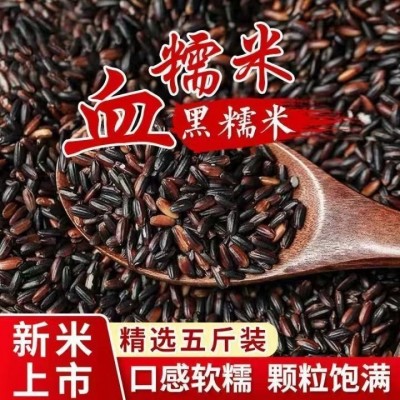 东北黑糯米血糯米农家自种黑米粥粽子饭团新米粗杂粮黑米当季图4