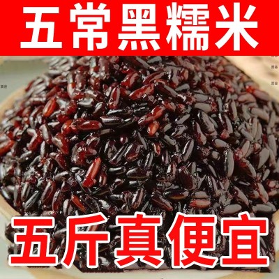 东北黑糯米血糯米农家自种黑米粥粽子饭团新米粗杂粮黑米当季图1