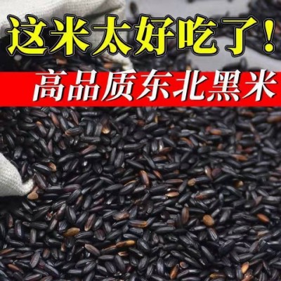 东北黑米黑糯米紫米批发农家五谷杂粮黑香米煮粥黑大米糙米图2