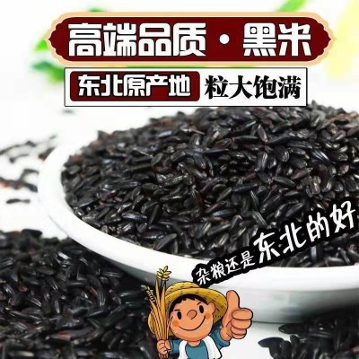 东北黑米黑糯米紫米批发农家五谷杂粮黑香米煮粥黑大米糙米图4