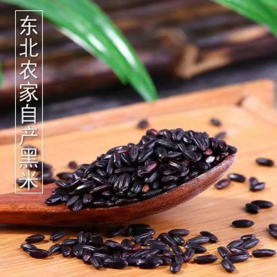 东北黑米黑糯米紫米批发农家五谷杂粮黑香米煮粥黑大米糙米图5