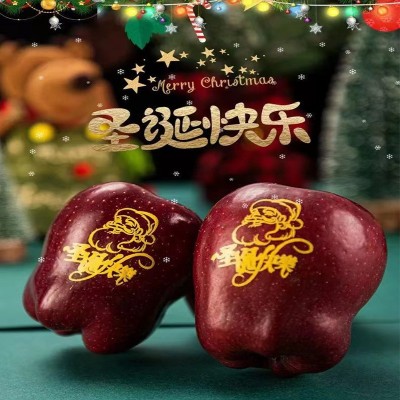 甘肃天水花牛特大苹果现货新果平安果新鲜应季水果粉面蛇果批发图2