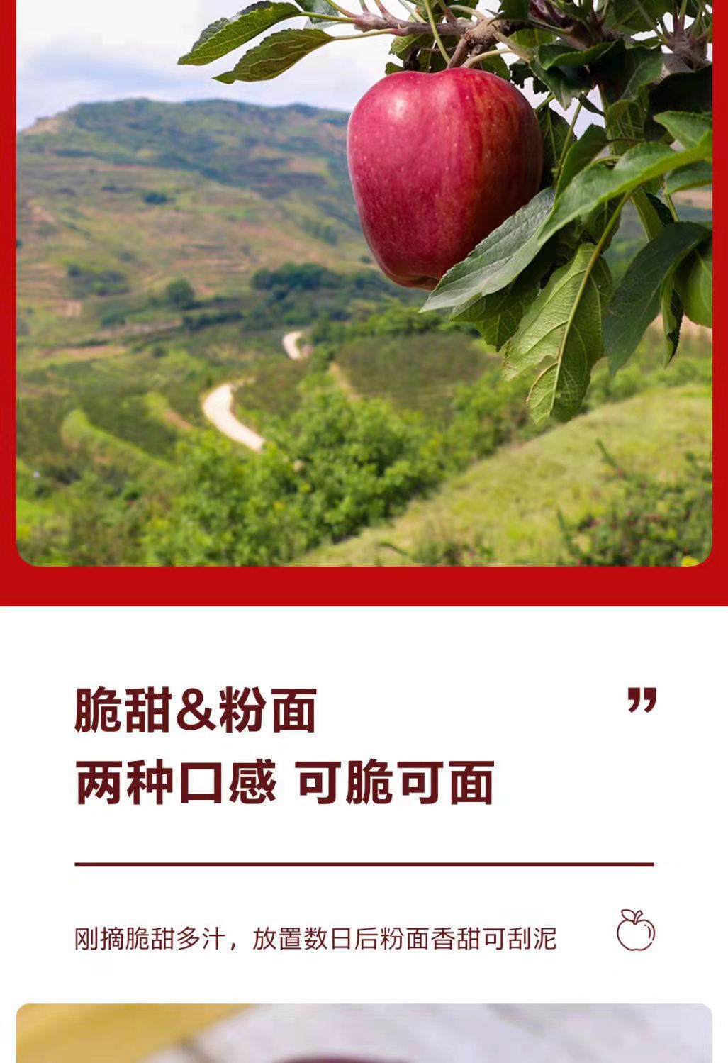 微信图片_20220902124147