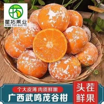 新鲜茂谷柑10斤整箱广西武鸣网红脏脏柑橘应当季水果桔子石灰柑