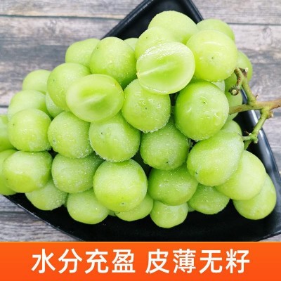 阳光玫瑰葡萄1斤晴王葡萄新鲜无籽葡萄香印青提水果新鲜当季整箱图2