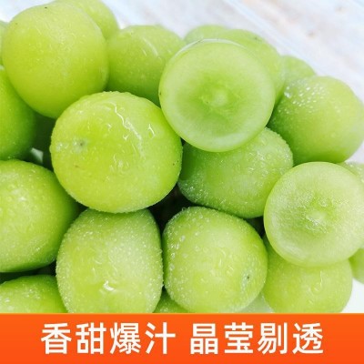 阳光玫瑰葡萄1斤晴王葡萄新鲜无籽葡萄香印青提水果新鲜当季整箱图3