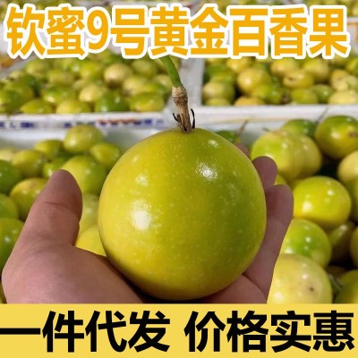 广西钦蜜9号黄金百香果新鲜夏季水果纯甜5斤一级特大果现摘礼盒装