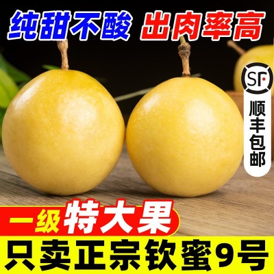 广西当季黄金百香果钦密9号鲜果产地直销包邮热售