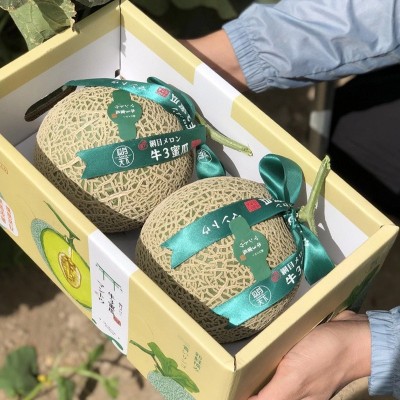 海南玫珑瓜 枚珑瓜 玲珑蜜瓜 网纹瓜 礼盒装团购集采代发合作批发图3