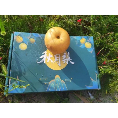 精品秋月梨节日礼盒团购社区集采一件代发图2