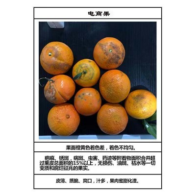 广西武鸣沃柑大果新鲜采摘当季水果纯甜无渣老树果花斑橘子9图3