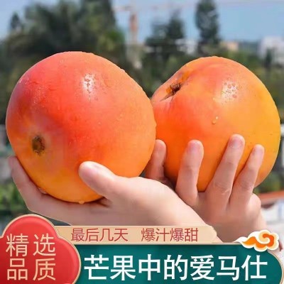 【礼盒装】澳芒大芒果新鲜现摘苹果芒热农纯甜无丝一件代发包邮