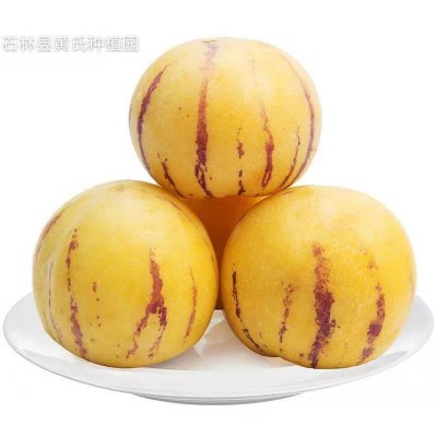 自然熟石林人参果圆果产地直发树上熟香甜多汁当季现摘果一件代发图5