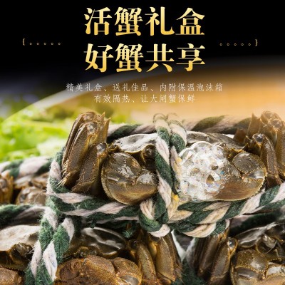 批发现货鲜活水产大闸蟹10只公蟹4.5两母蟹4两螃蟹湖蟹团购礼盒图4