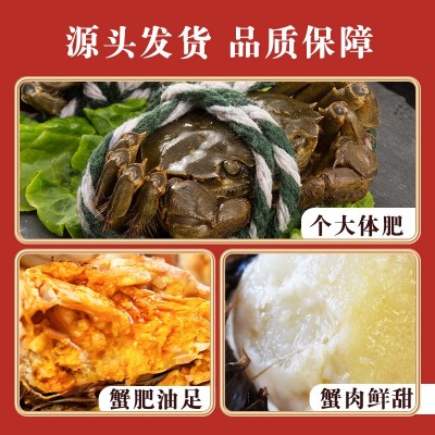 批发现货鲜活水产大闸蟹10只公蟹4.5两母蟹4两螃蟹湖蟹团购礼盒图3