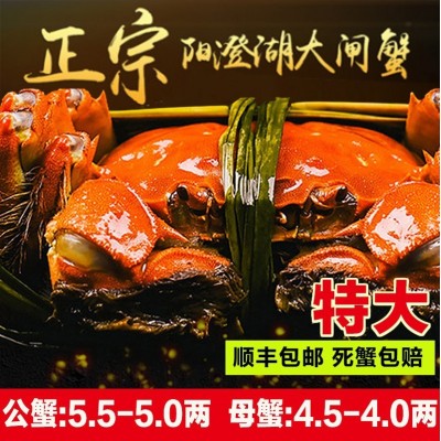 大闸蟹阳澄湖镇特产螃蟹鲜活生鲜礼盒礼券提货券卡券蟹卡招代理