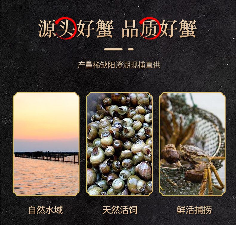 大闸蟹-详情_05