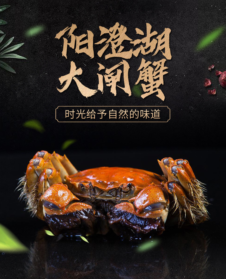 大闸蟹-详情_02