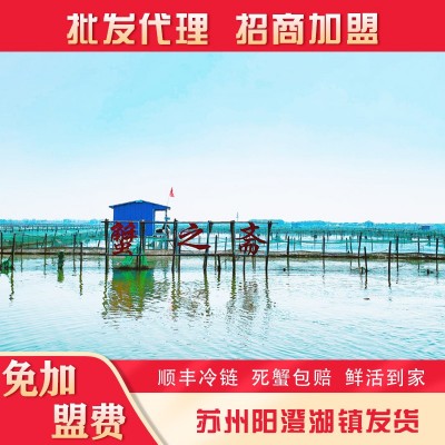阳澄湖镇螃蟹大闸蟹礼券鲜活批发加盟代理产地苏州中秋国庆礼品卡图2