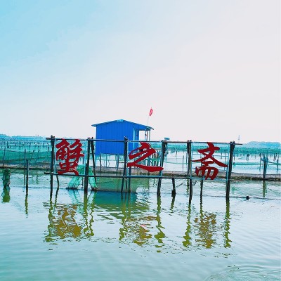 阳澄湖镇螃蟹大闸蟹礼券鲜活批发加盟代理产地苏州中秋国庆礼品卡图5