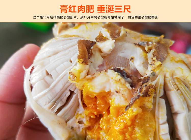 内页_01.jpg