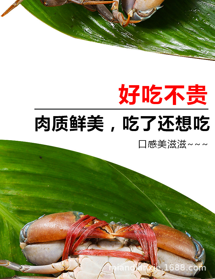 阿里_05.jpg
