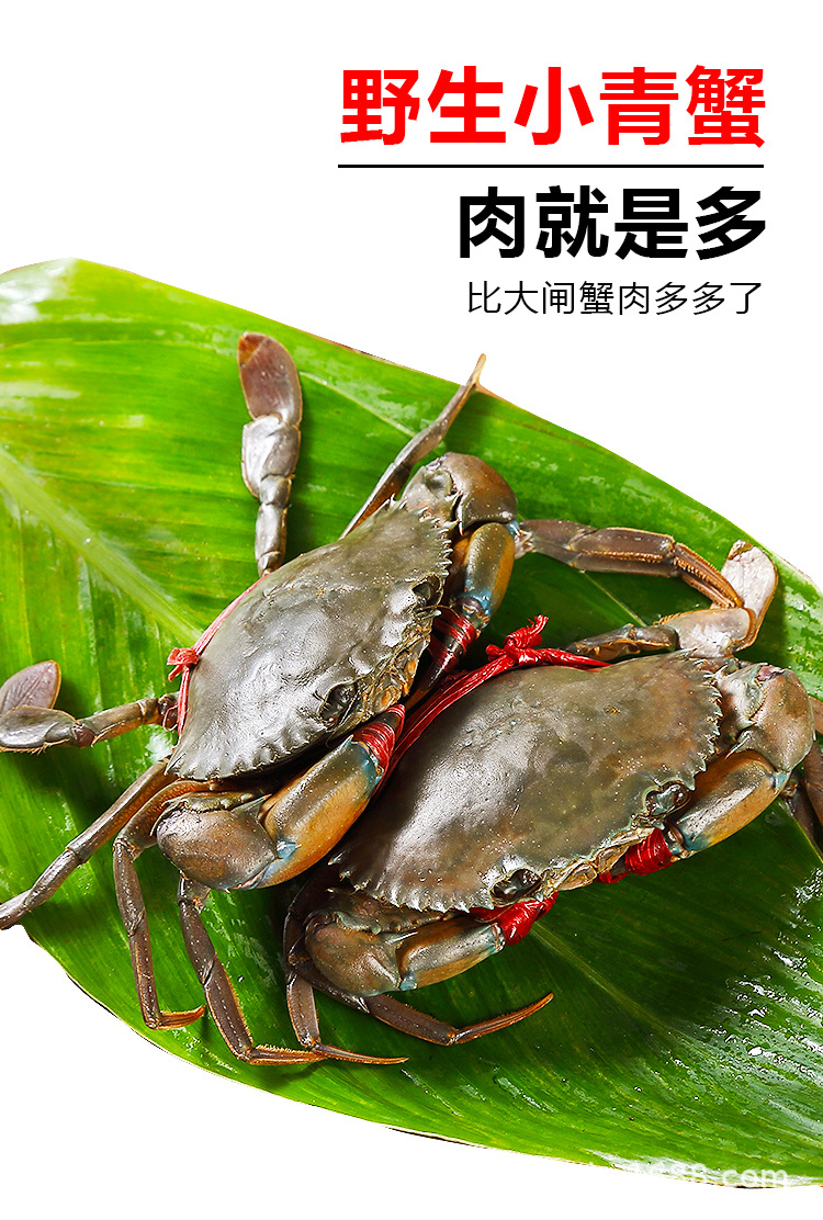 阿里_03.jpg