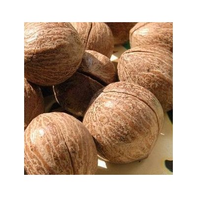 新货 临安特产 非手剥奶油/椒盐味 特大籽山核桃批发价图2