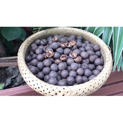 新货 临安特产 非手剥奶油/椒盐味 特大籽山核桃批发价图3