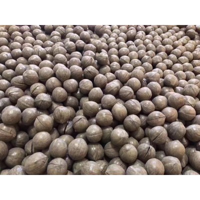 新货 临安特产 非手剥奶油/椒盐味 特大籽山核桃批发价图4