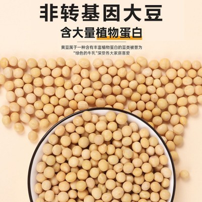 厂家直销东北大豆现货真空装黄豆批发非转基因大粒豆子打豆 浆杂粮