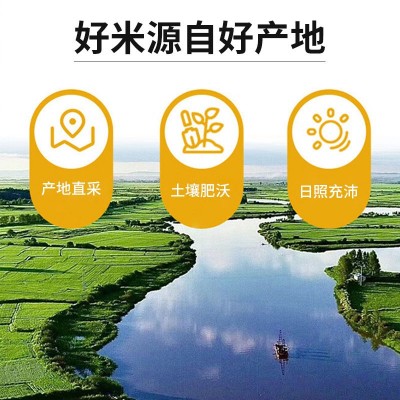 真空包装早餐粥料三色五色七色五谷杂粮糙米杂粮米饭现货厂 家批发图3