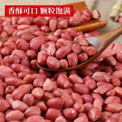 红皮花生2.5kg小粒花生花生米油料作物花生仁图4