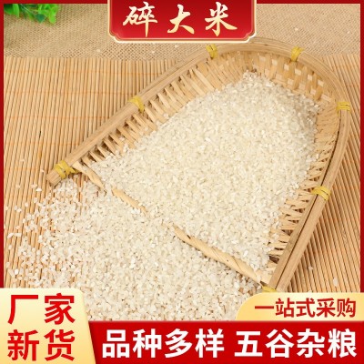 供应批发碎大米 酿酒食用饲料 碎米现货五谷杂粮 大米袋装碎米