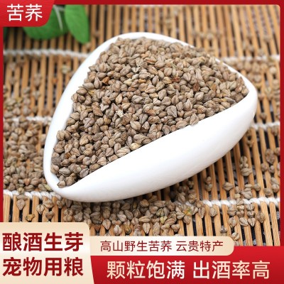 货源供应苦荞 带壳苦荞麦生苦荞天然散装酿酒宠物饲料五谷杂粮