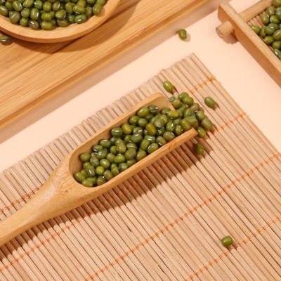 厂家供应五谷杂粮食品批发绿豆 粗粮农家易煮 烘焙烹饪原料食材图2