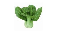这些蔬菜是“天然钙片”