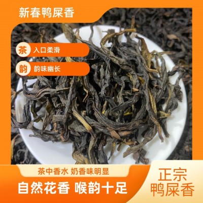 乌龙茶 新春鸭屎香 正宗鸭屎香 500g罐装袋装 潮州凤凰单丛茶春茶图4
