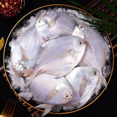 白鲳鱼新鲜冷冻银鲳鱼鲳鳊鱼东海鲜冻大鲳鱼平鱼海鲜烧烤水产500g图2