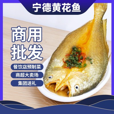 宁德黄花鱼风味调味鱼酸汤椒麻豆豉餐饮连锁商用源头工厂半成品