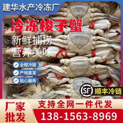 冷冻梭子蟹 6斤装 新鲜海捕全母梭子蟹 速冻海蟹角蟹飞蟹 现货批