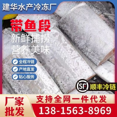 [新货]舟山东海小眼带鱼段中段特大带鱼段大段去头去尾海鲜水产