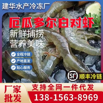 厄瓜多尔白对虾盐冻虾青岛大虾南美白对虾3040规格 一件代发图3