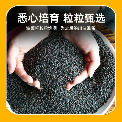 邓州娃娃鱼醇香压榨纯菜籽油5L桶装 家用炒菜大桶装批发图2