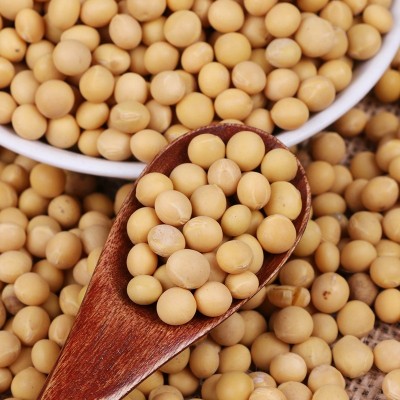 厂家直发东北粮食大豆农家自产五谷杂粮批发当年散装粗粮商品黄豆图2