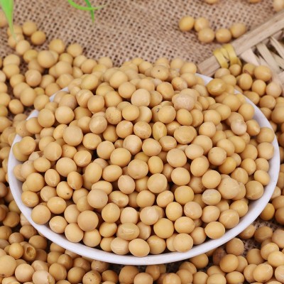 厂家直发东北粮食大豆农家自产五谷杂粮批发当年散装粗粮商品黄豆图4