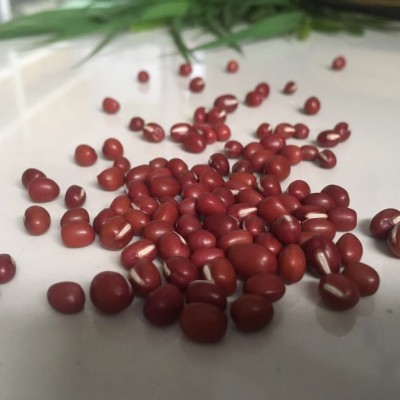 厂家直发东北粮食红豆农家自产五谷杂粮批发散装粗粮红小豆图3