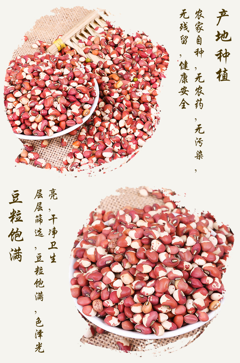 花豇豆_06